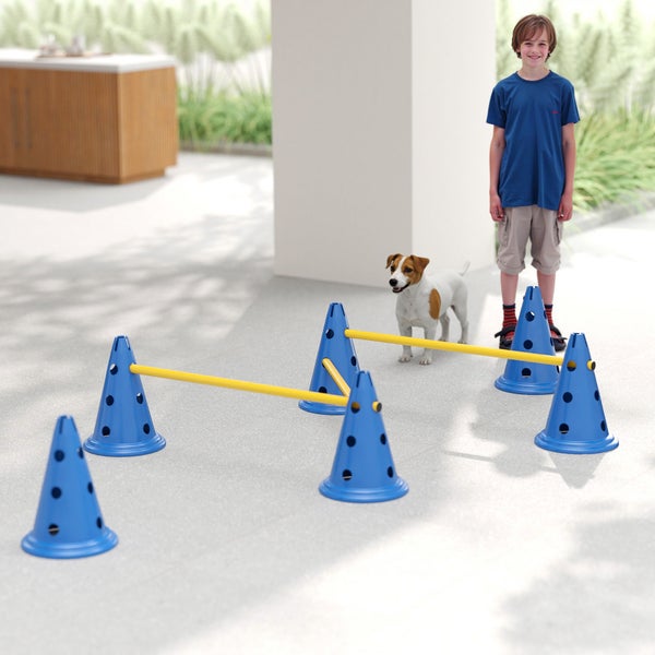 Agility-Set für Hunde mit blauen Kegeln und gelben Stangen auf einer hellen, organisierten Terrasse mit einem Hund und einem Jungen.