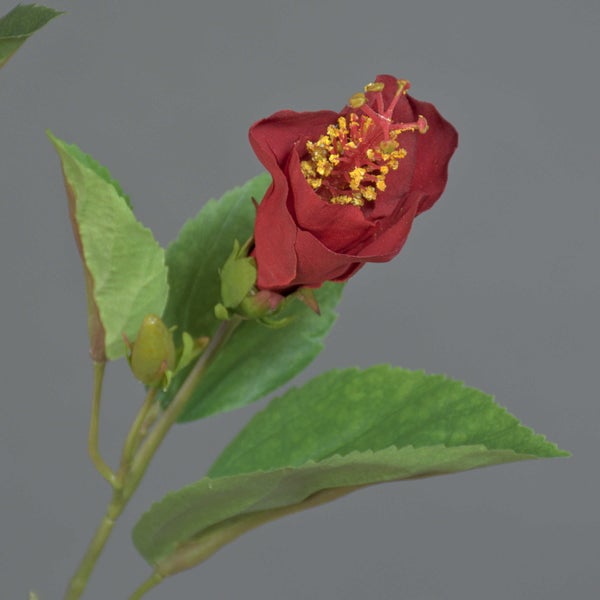 Künstlicher Hibiskuszweig mit einer roten Blüte, einer kleinen grünen Knospe und grünen Blättern.