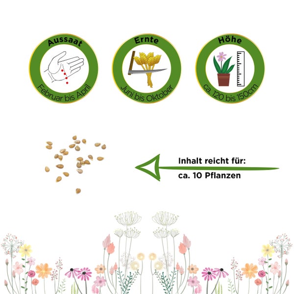 Symbole für Aussaat von Februar bis April, Ernte von Juni bis Oktober, Wuchshöhe circa 120 bis 150 Zentimeter. Inhalt für circa 10 Pflanzen.
