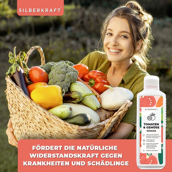SILBERKRAFT Tomatendünger – Für gesunde Tomaten – NPK Flüssigdünger – 1 Liter