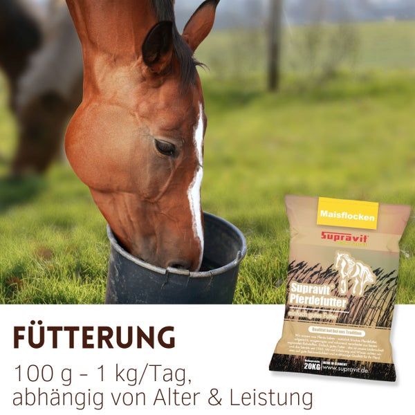 Pferd frisst aus Eimer, im Hintergrund eine Packung Suprovit Pferdefutter