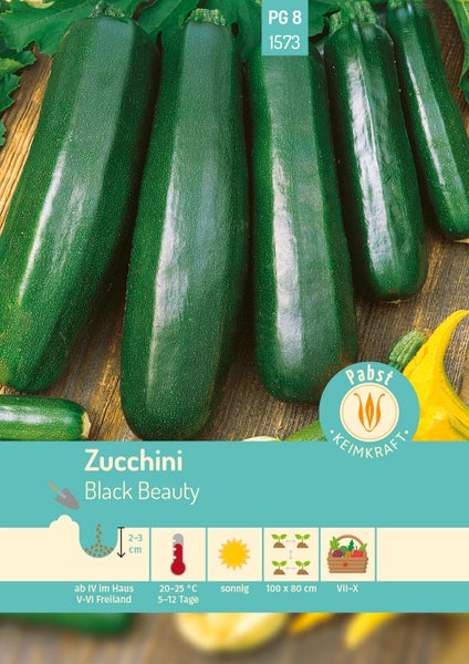 Pabst Keimkraft Logo. Zucchini Black Beauty Samen mit Informationen zu Aussaat, Temperatur, sonnigem Standort und Ernte von Juli bis Oktober.