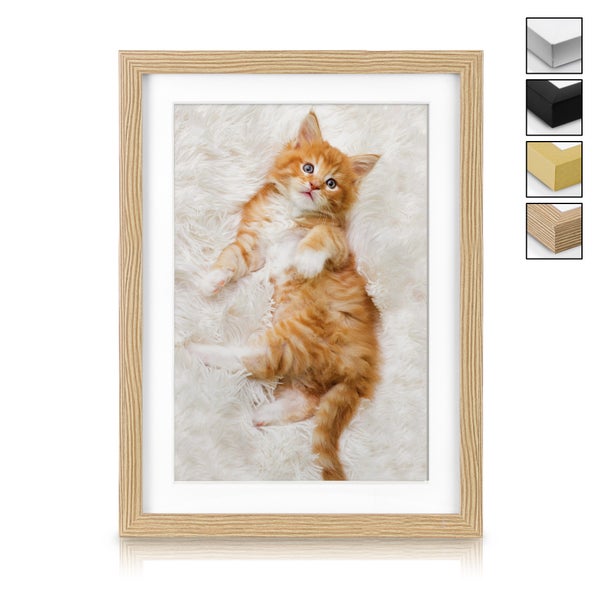 Gerahmtes Bild eines verspielten Kätzchens auf einem flauschigen Untergrund