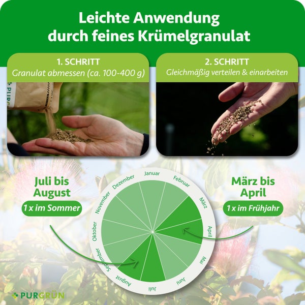 Anleitung Purgrün Düngergranulat: 1. circa 100 bis 400 Gramm abmessen, 2. verteilen. Anwendung im März bis April und Juli bis August. Purgrün Logo.