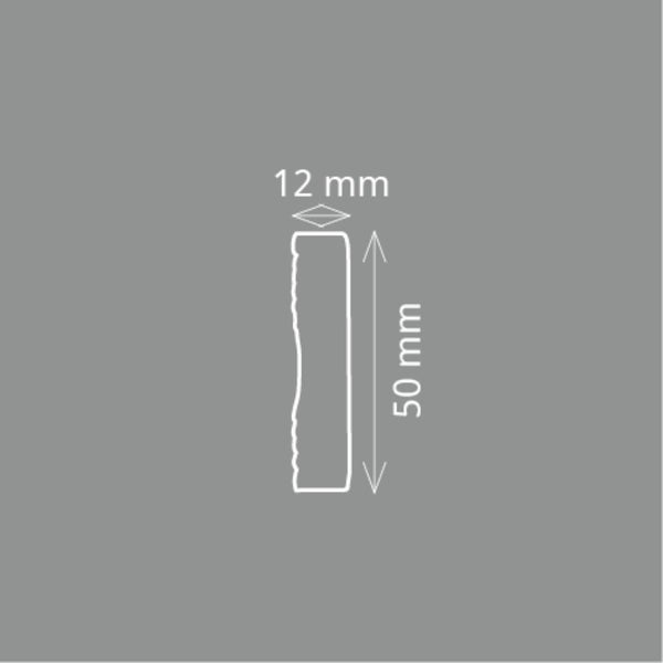 HOMESTAR Zierleiste FL 50 (12 x 50 mm), Länge 2 m