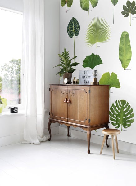 Helles Zimmer mit Holzschrank, Pflanze und botanischer Wanddekoration