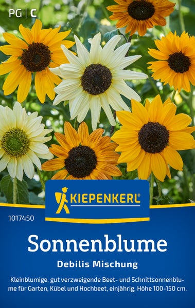 Saatgut Sonnenblume Debilis Mischung von Kiepenkerl Logo, kleinblumige einjährige Schnittblumen für Garten und Kübel, Wuchshöhe 100 bis 150 cm