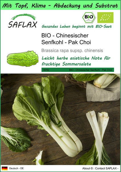 SAFLAX Garden to go - BIO - Chinesischer Senfkohl - Pak Choi - Brassica rapa supsp. chinensis - 300 Samen - Mit Topf, Klima - Deckel und Anzuchtsubstrat