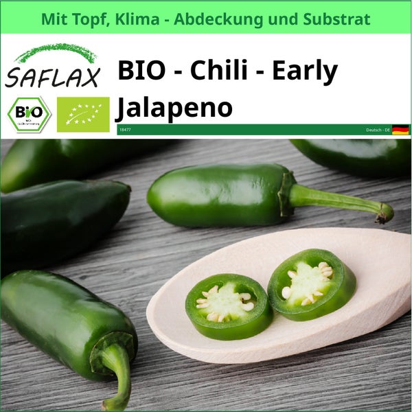 SAFLAX Garden to go - BIO - Chili - Early Jalapeno - Capsicum annuum - 20 Samen - Mit Topf, Klima - Deckel und Anzuchtsubstrat