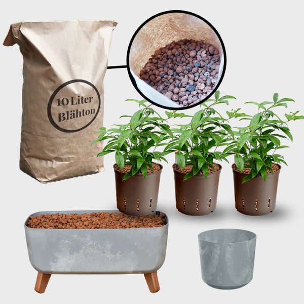 Komplette Pflanzenausstattung mit Blähton, Pflanzgefäßen und Pflanzen