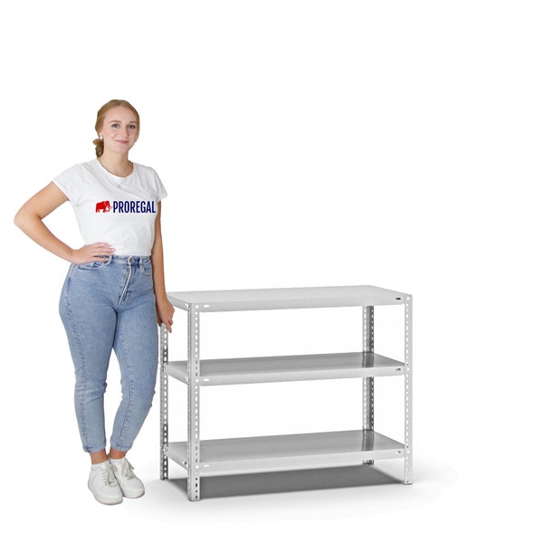 PROREGAL Fachbodenregal Schraubsystem Medium-Duty Grundregal HxBxT 80 x 100 x 40 cm 3 Ebenen Fachlast 200 kg Beidseitig Nutzbar Lichtgrau
