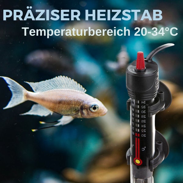 Aquarienheizstab mit Temperaturanzeige im Aquarium