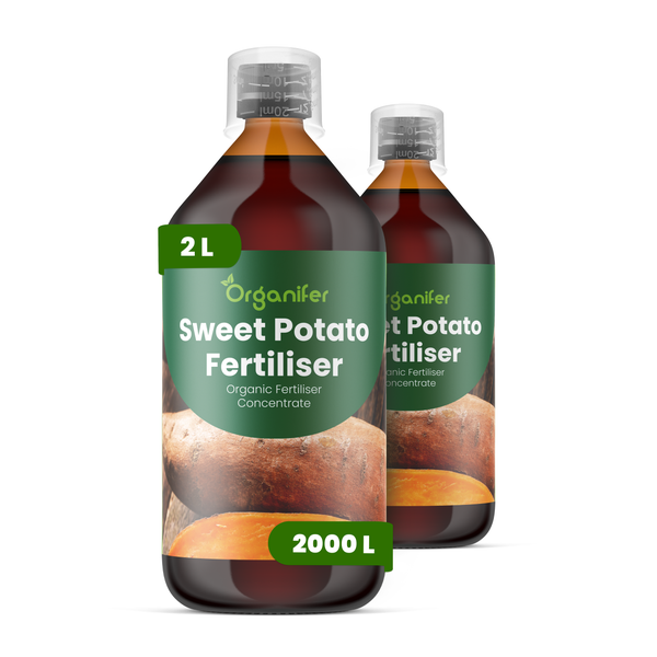 Organifer Süßkartoffeldünger, organisches Düngerkonzentrat, 2 Liter.