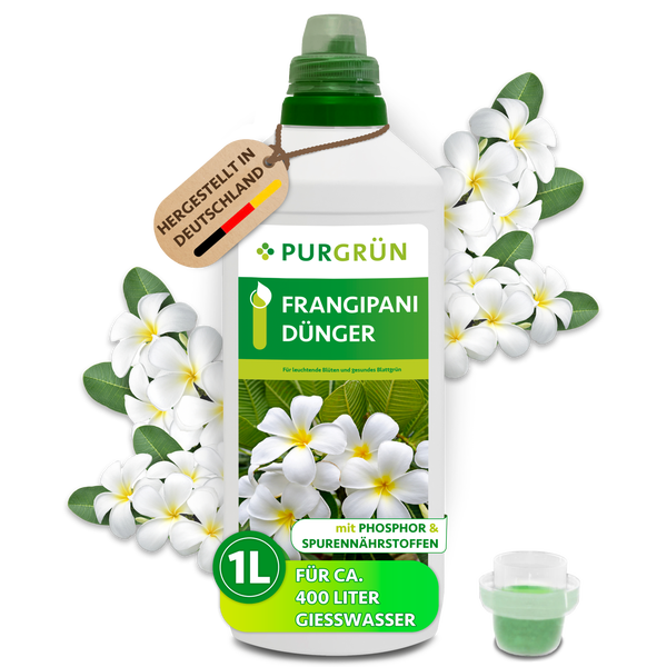 Purgrün Frangipani Dünger in der 1 Liter Flasche, hergestellt in Deutschland, ausreichend für circa 400 Liter Gießwasser.