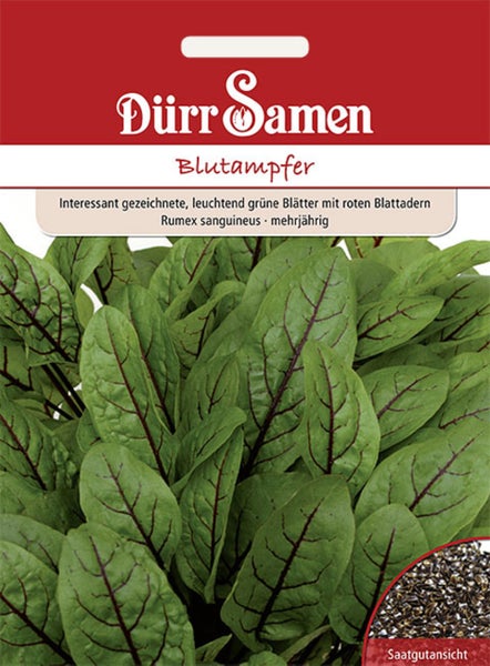 Informationen zu Pflanzensamen: Aussaat März bis August, Ernte im zweiten Jahr, Höhe 50 bis 100 Zentimeter. Inhalt reicht für circa 100 Pflanzen.