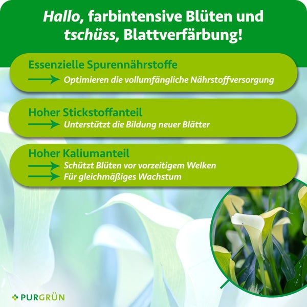 Infografik zu Purgrün Dünger: Spurennährstoffe, Stickstoff für neue Blätter und Kalium für Blüten sowie Wachstum. Purgrün Logo.