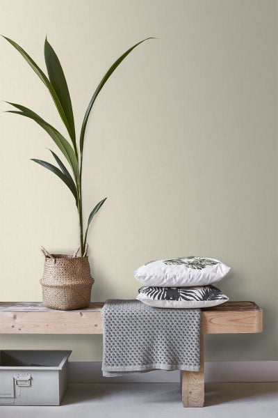 Dekorative Szene mit Zimmerpflanze im Korb, Kissen und Decke auf einer Holzbank