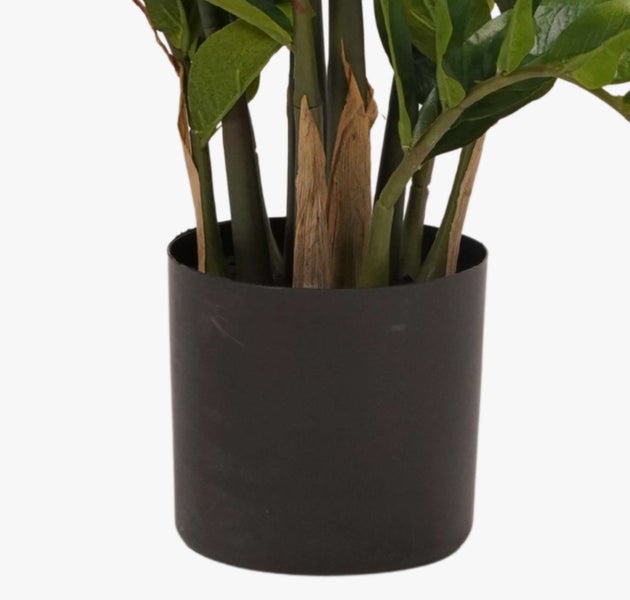 Lange, dünne Ziergrashalme in grün-braunen Farbtönen.