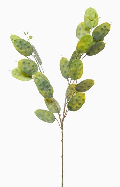 Künstliche Alliumblume mit weißem kugelförmigem Blütenkopf und grünem Stiel.