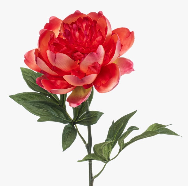 Künstliche Pfingstrose mit detailreicher roter Blüte, grünem Stiel und naturgetreuen Blättern.