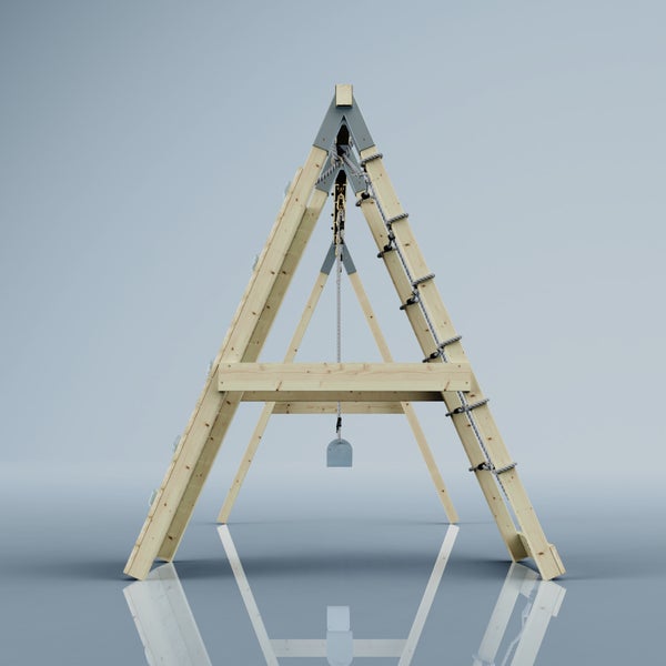 Zimmerpflanze im Topf mit Gießkanne und Dekoration auf einem Holzregal