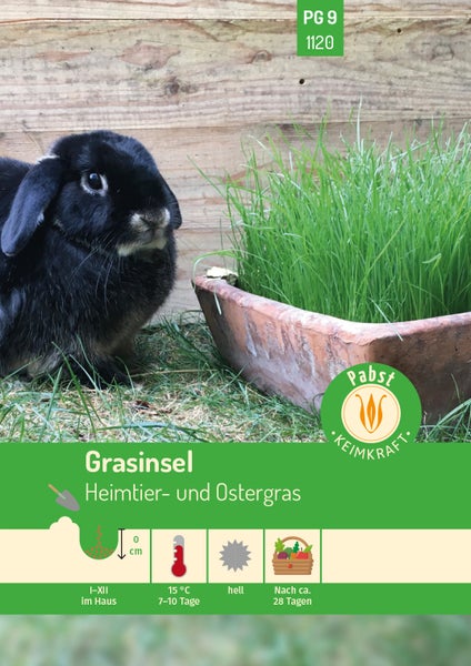 Samentüte Pabst Keimkraft Grasinsel Heimtier- und Ostergras. Kaninchen neben Grasschale. Ernte nach circa 28 Tagen. Pabst Keimkraft Logo.