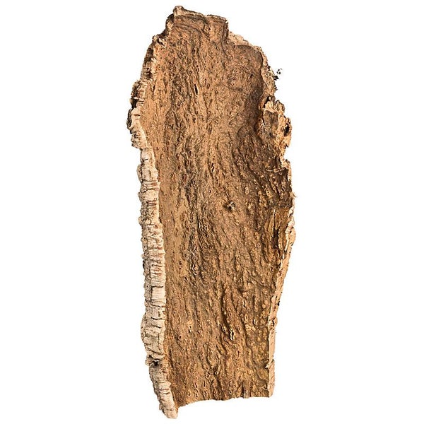 Naturkork-Rinde für Terrarien und Kleintiere, strukturierte Oberfläche.