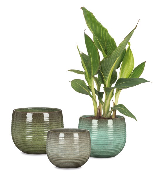 Scheurich Linara, Blumentopf aus Keramik,  Farbe: Wild Jungle, 18 cm Durchmesser, 14,3 cm hoch, 2,7 l Vol.