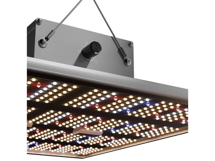 Caluma Growbox Komplettset 80x80x180 cm, 240 W, für 2 Pflanzen