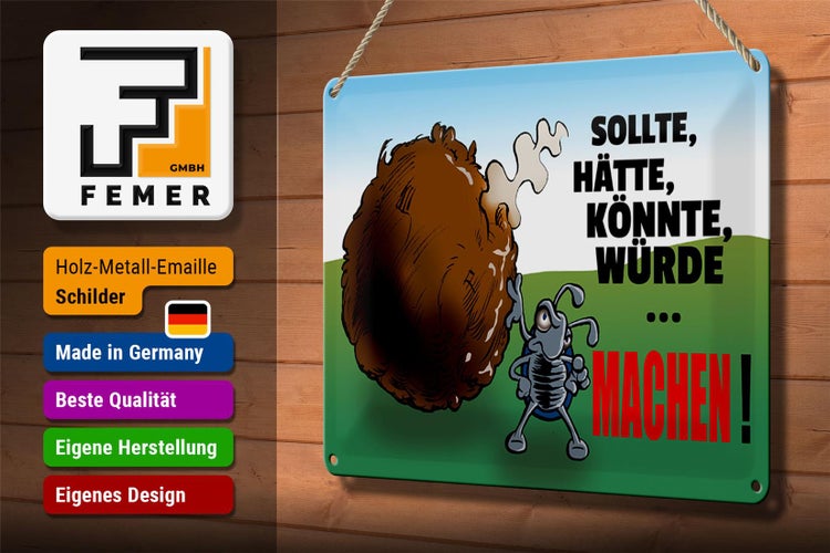 Blechschild Spruch 30x20cm Sollte hätte könnte Machen