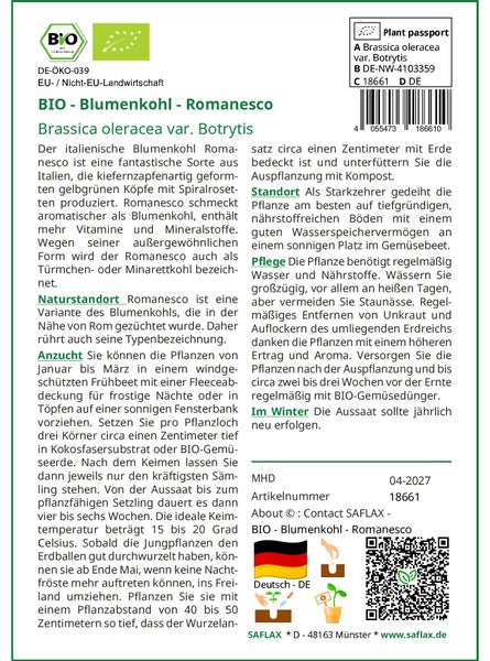 SAFLAX Garden to go - BIO - Blumenkohl - Romanesco - Brassica oleracea var. Botrytis - 50 Samen - Mit Topf, Klima - Deckel und Anzuchtsubstrat