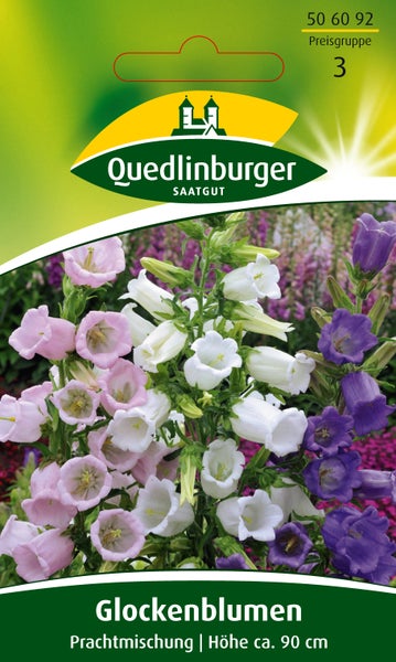 Quedlinburger Saatgut Logo auf einer Samentüte für Glockenblumen Prachtmischung, Wuchshöhe circa 90 Zentimeter.