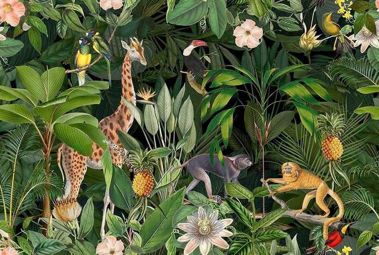 Dschungel-Tapete mit Giraffe, Affen, Papageien und exotischen Pflanzen wie Ananas und Palmenblättern.