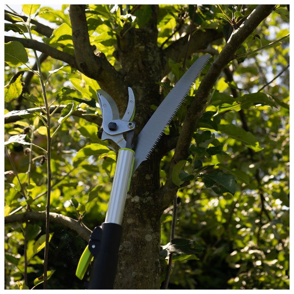 Astschneider mit Säge in einem Baum