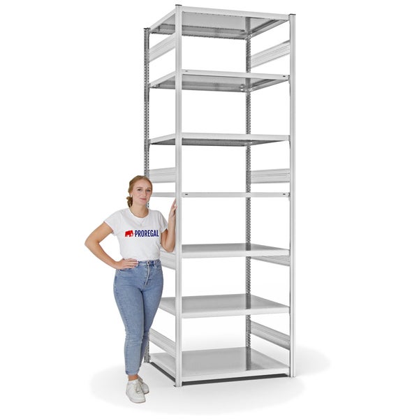 PROREGAL Fachbodenregal Stecksystem T-Profil Heavy-Duty Grundregal HxBxT 300 x 100 x 80 cm 7 Ebenen Fachlast 330 kg Beidseitig Nutzbar Lichtgrau