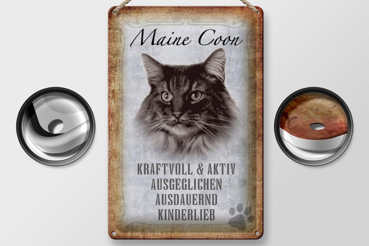 Blechschild Spruch 20x30cm Maine Coon Katze aktiv Schild
