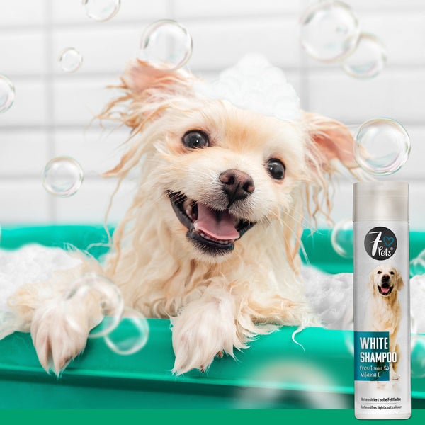 White Shampoo – Pflegendes Hundeshampoo für helles Fell mit Provitamin B5 & Vitamin E – Sanfte Reinigung & Glanzpflege für empfindliche Hundehaut