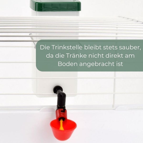 Beckentränke Küken Nager Hasen Hühner Geflügel Wasser Becken Tränke Trinkflasche 1000 ml