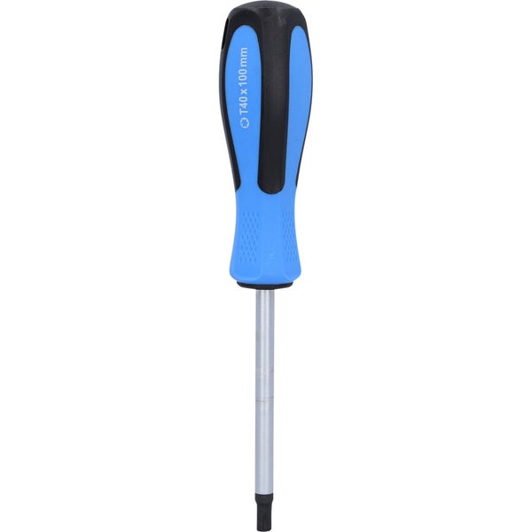 BRILLIANT TOOLS Schraubendreher TORX T40 x 100 mm - BT031042