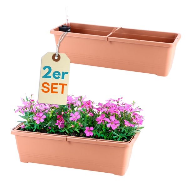 Zwei Pflanzkästen aus Kunststoff, einer bepflanzt mit lila Blumen