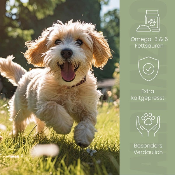 alphazoo Leinöl für Hunde 250ml