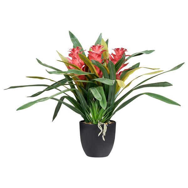 Künstliche Bromelie Guzmania im schwarzen Topf mit grünen Blättern und roten Blüten.
