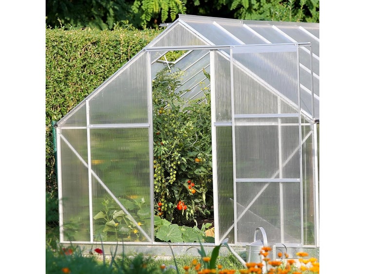 FLOORDIREKT Doppelstegplatte aus Polycarbonat - Stegplatte für Gewächshäuser - 4 mm Stärke - 60,5 x 121 cm - Transparent