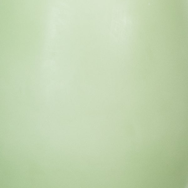 Heller, einfarbiger Hintergrund.