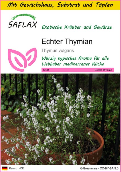 SAFLAX Anzucht Set - Echter Thymian - Thymus vulgaris - 200 Samen - Mit Mini-Gewächshaus, Anzuchtsubstrat und 2 Töpfen