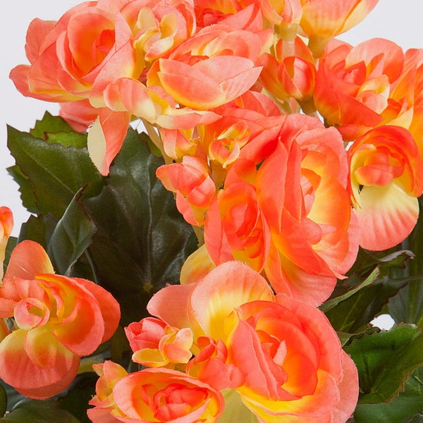 Künstliche Begonie mit lachsfarbenen Blüten aus Textil und grünen Blättern in Nahaufnahme.