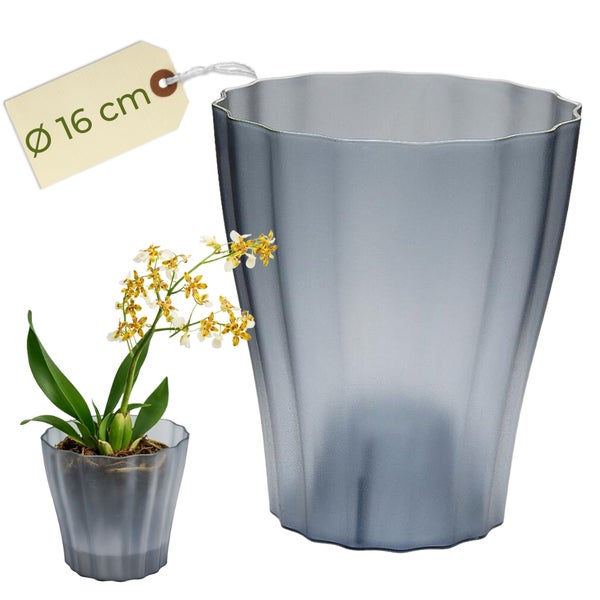 Blumentopf mit Orchidee und Größenangabe 16 cm Durchmesser