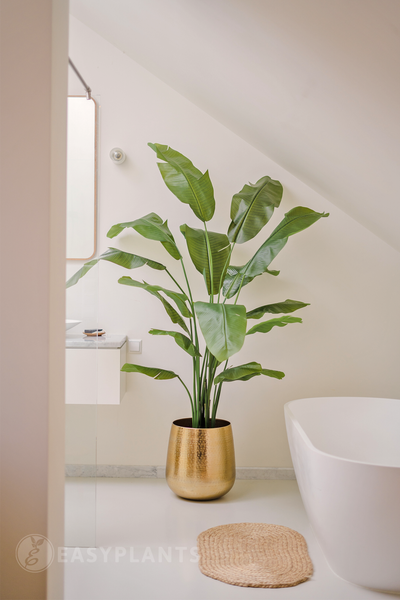 Kunstpflanze Strelitzia Nicolai Deluxe 180 cm