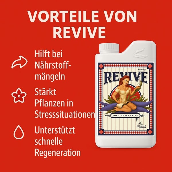 Revive Pflanzennahrung mit Hinweisen zu den Vorteilen