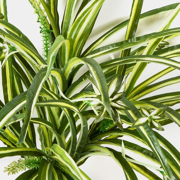 Künstliche Grünlilie aus Kunststoff mit schmalen, panaschierten Blättern.